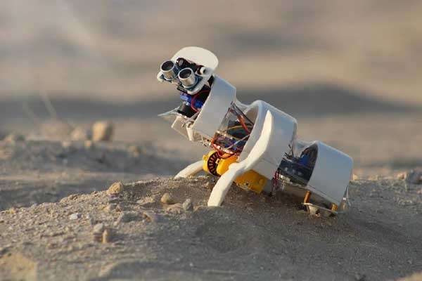Jovem cria mini robô que percorre desertos plantando sementes
