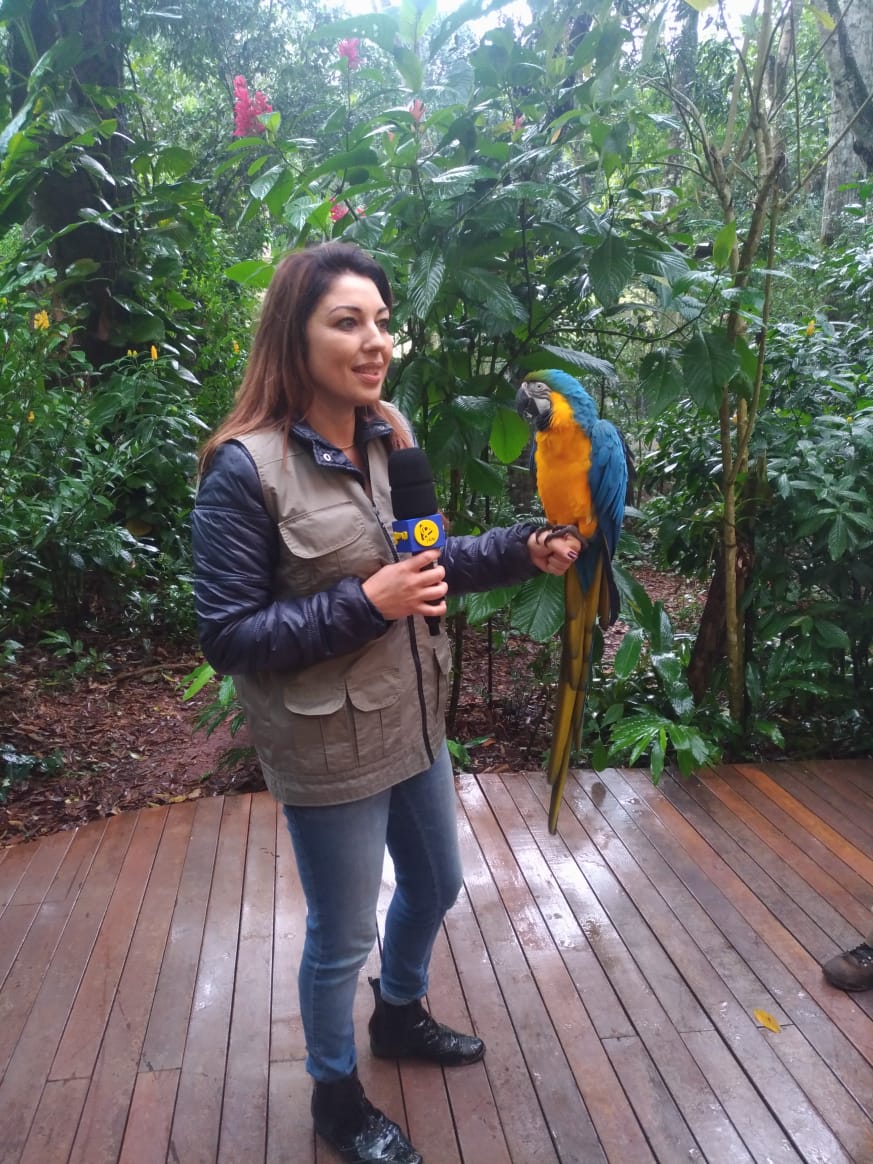 Equipe do Destino.com leva você a uma viagem pelo Parque das Aves em Foz do Iguaçu